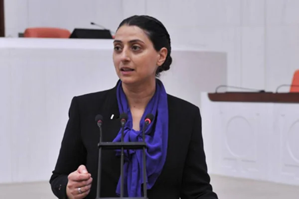 Efrîn’de kadına yönelik suçlar meclise taşındı