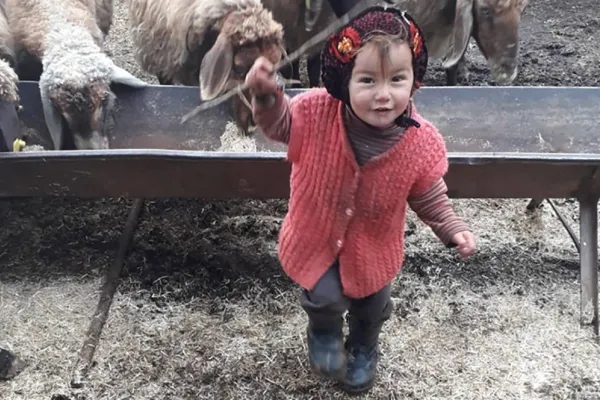 5 gündür bulunamıyor
