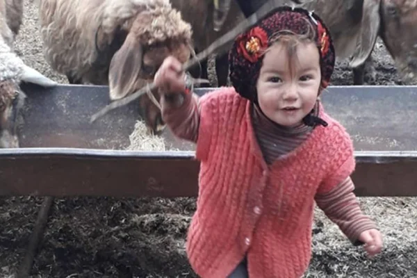 'Kutsal aile' öldürüyor! 