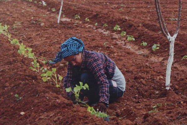 Jinwarlı kadınlar şifa dağıtıyor