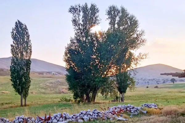 Memleket göç!