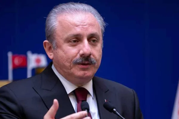 Tecavüzü değil, önergeyi kaba buldu