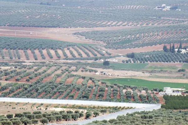 Efrîn’in özgürleşeceği günü bekliyorlar