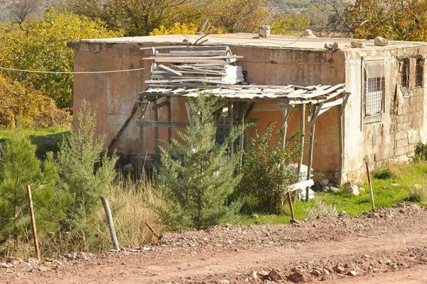 PKK’nin kurulduğu köyde ağaç dikmek suç