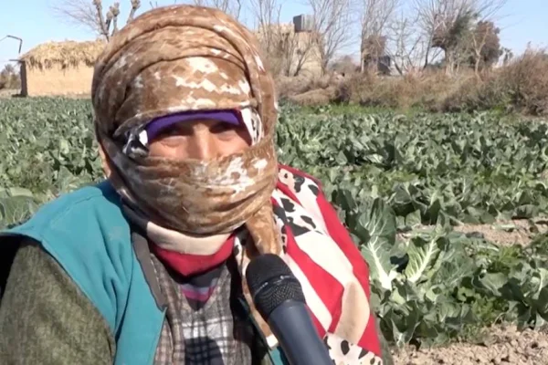Dêrazorlu kadın çiftçilerin başarı hikayesi