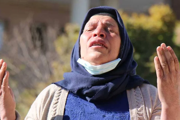 Emine Şenyaşar'a 14. soruşturma