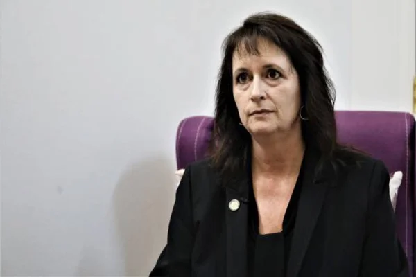 Türk devletine baskı yapın 