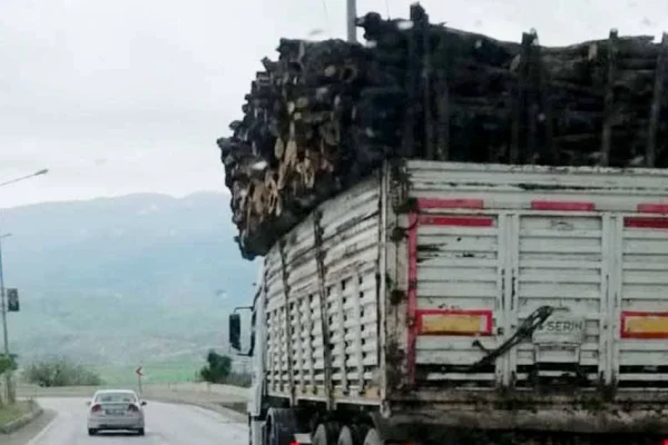 Korucuları Besta arazisine saldı
