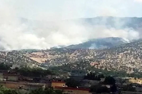 100 milyon dönüm orman yakıldı