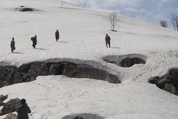 Çığ