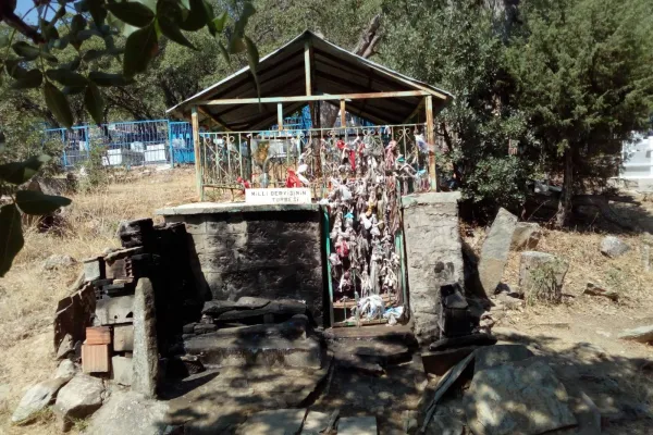 Dersim’de ‘yeşil’ soykırım