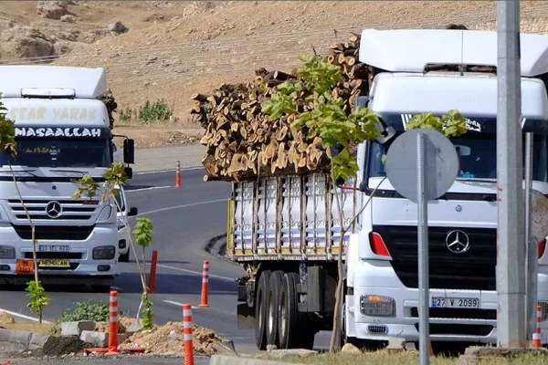 Besta'da 500 bin ton ağaç kesildi