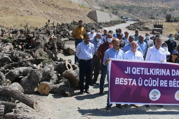 Kürdistan’da doğa katliamı