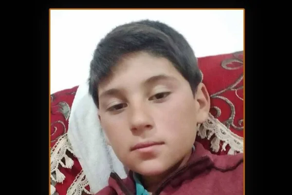 Asker izlemekle yetindi