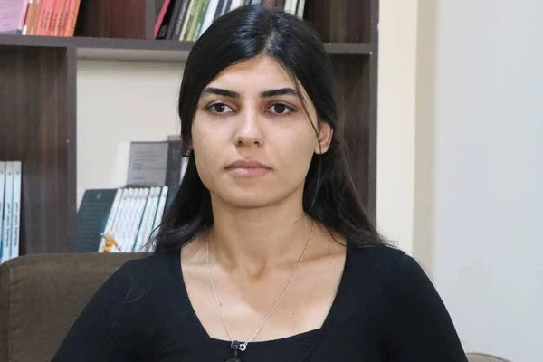 Yeni bir işgalin hazırlık saldırılarıdır