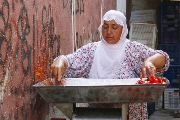 'Hem evde hem tarlada çalışıyoruz'