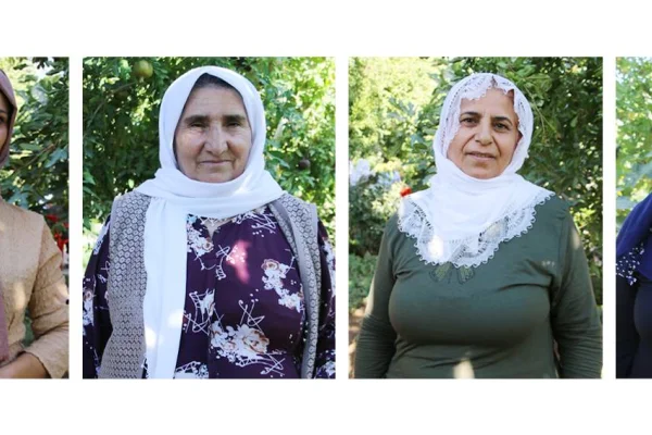 ‘Kayyumun belediyesine gitmiyoruz’