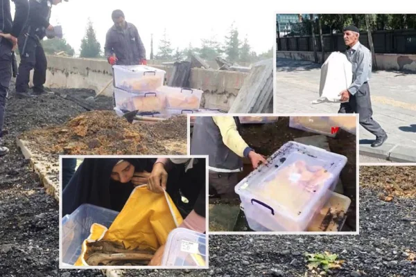 Şimdi değilse ne zaman?