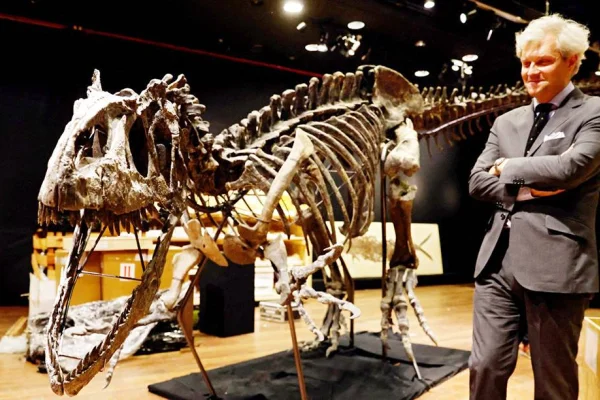 Zenginlerin yeni oyuncağı: Dinozor iskeleti
