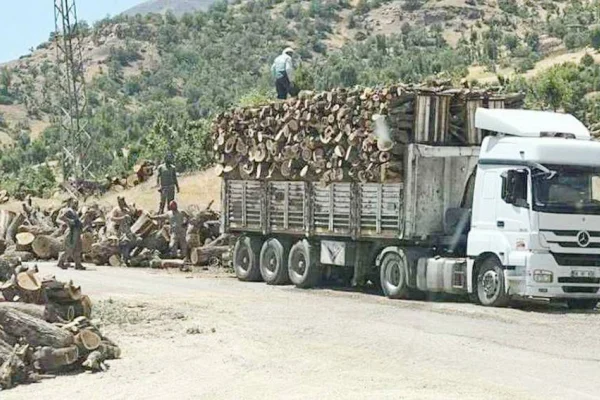Günlük 50 TIR’ı aştı