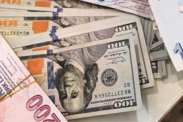 TL, 5 ayda yüzde 20 eridi
