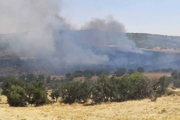 Cudi’den Lice’ye ormanlar yakılıyor
