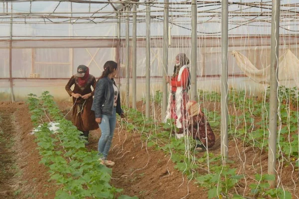 Bi rêya kooperatîfvaniyê li Rojava birêxistinkirina têkiliyeke civakî