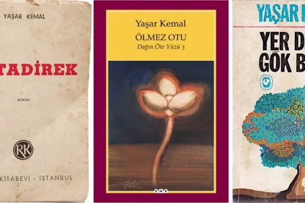Yaşar Kemal ve Dağın Öte Yüzü