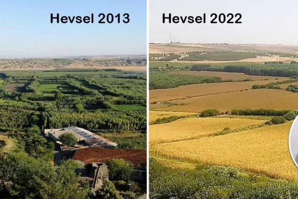 Hevsel kayyum eliyle yok ediliyor