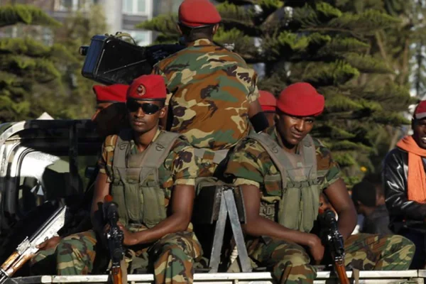 Etiyopya ve Tigray kırmızı hat kurdu 