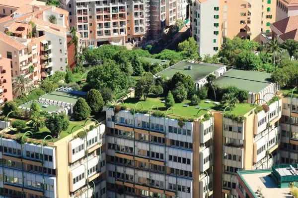 Frankfurt’ta yeşil çatılar
