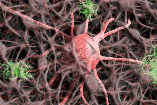 Alzheimer tedavisinde yeni umut