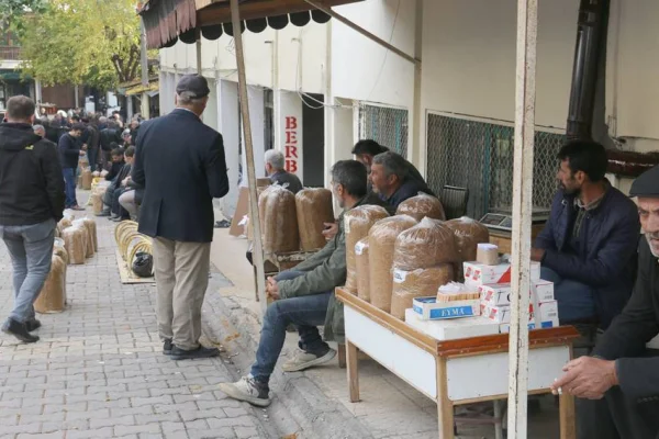 Semsûrlu tütün üreticisini bitirmek istiyorlar