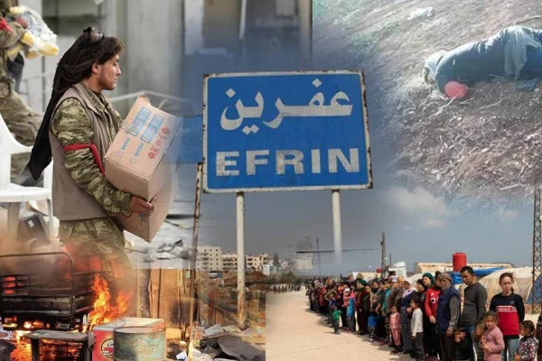 Efrîn’de talan ve gasp