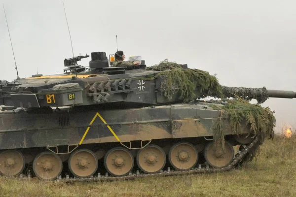 Leopard için yeşil ışık  