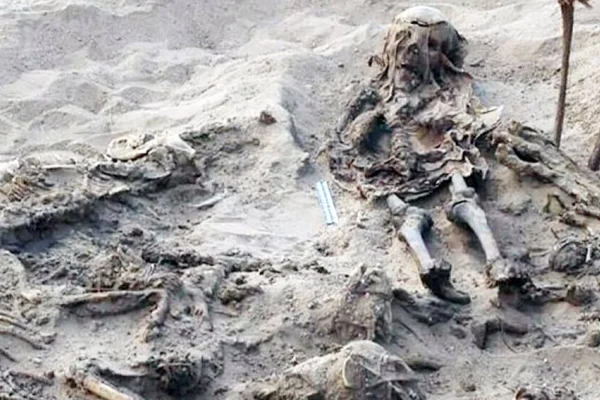 142 köpekle gömülü çocuk