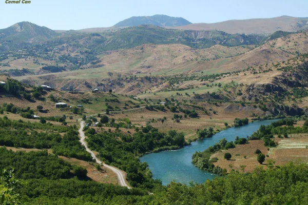 En çok kuşlar ağladı Karo’nun ölüsüne