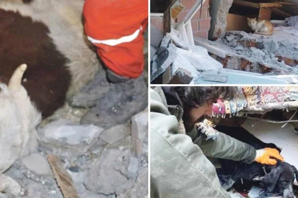 Enkaz altında kurtarılmayı bekliyorlar!