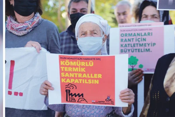 '5'li çete’den ekolojik talan