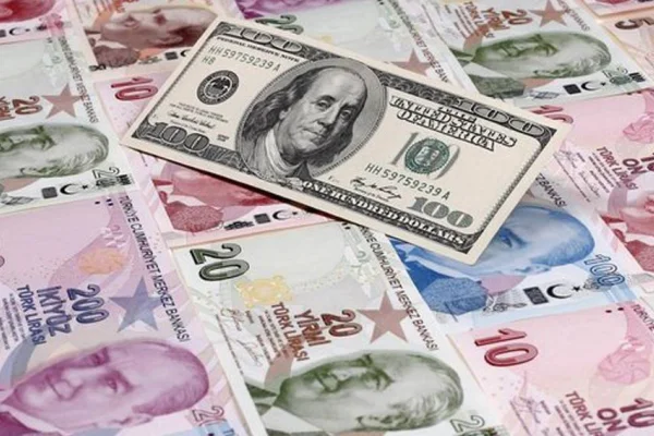 TL'nin değer kaybı sürüyor
