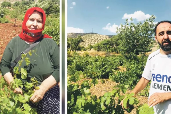 Kurdistan'da bağcılık yok oluyor