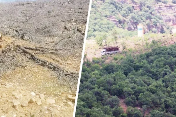 Amed’de sömürge sermaye el ele