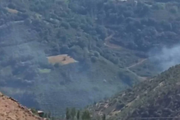 Xîzan’da doğa talanı