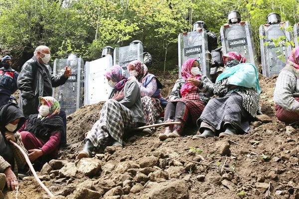 Ormana, börtü böceğe her şeye düşman