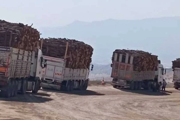 Gabar yok ediliyor