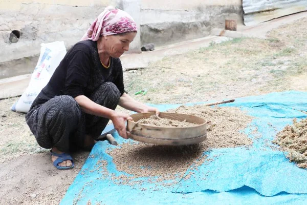 Şimdi sumak zamanı