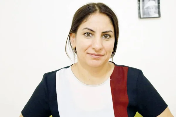 Gazetecilere baskı
