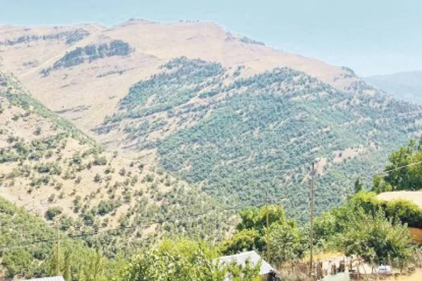 Bilbês 46 gündür yasak