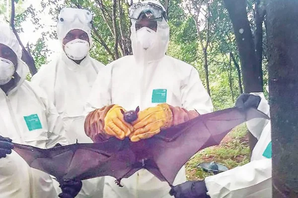 Hindistan’da 3. Nipah salgını