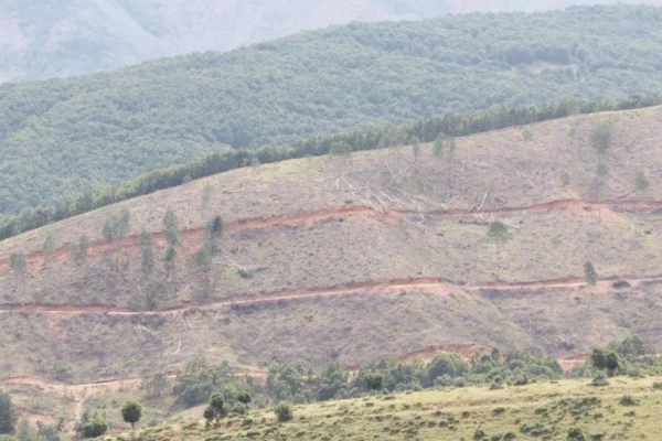 İki fotoğraf kıyımı özetliyor